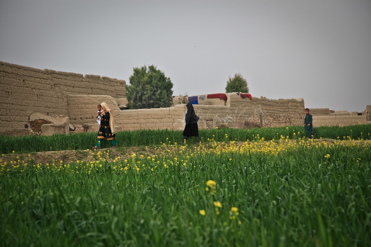 Gender-Based Violence Runs Rife in the Taliban&#8217;s Afghanistan