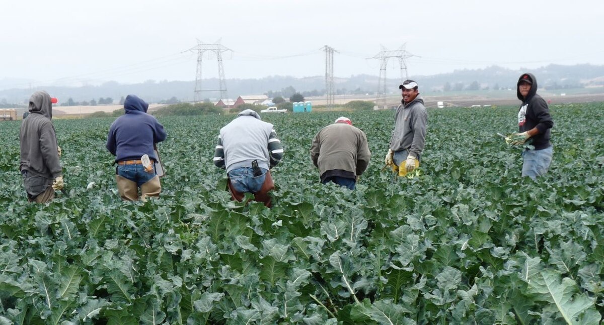 California’s Failure to Address Hidden Farmworker Housing Crisis Endangers Public Health