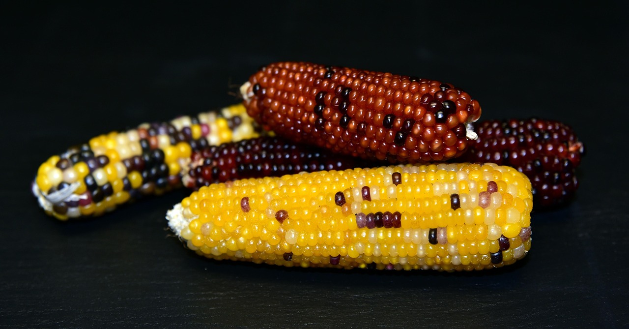 Corn, Comedy and Hermeneutics: Reading the Iran–US Memorandum as Legal Irony