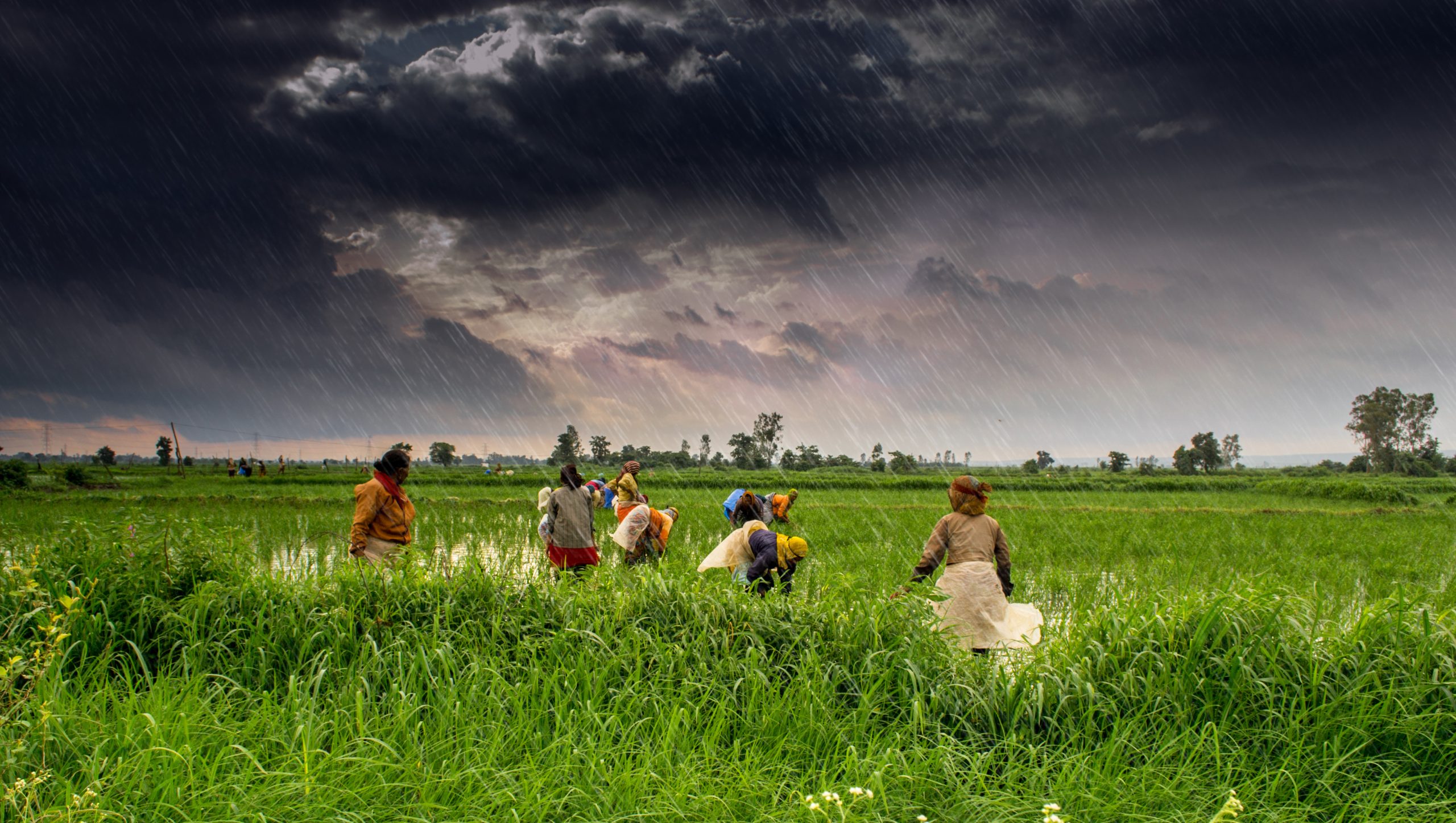Explainer: India’s Farm Laws Drive Wedge Between Farm Workers and Authorities