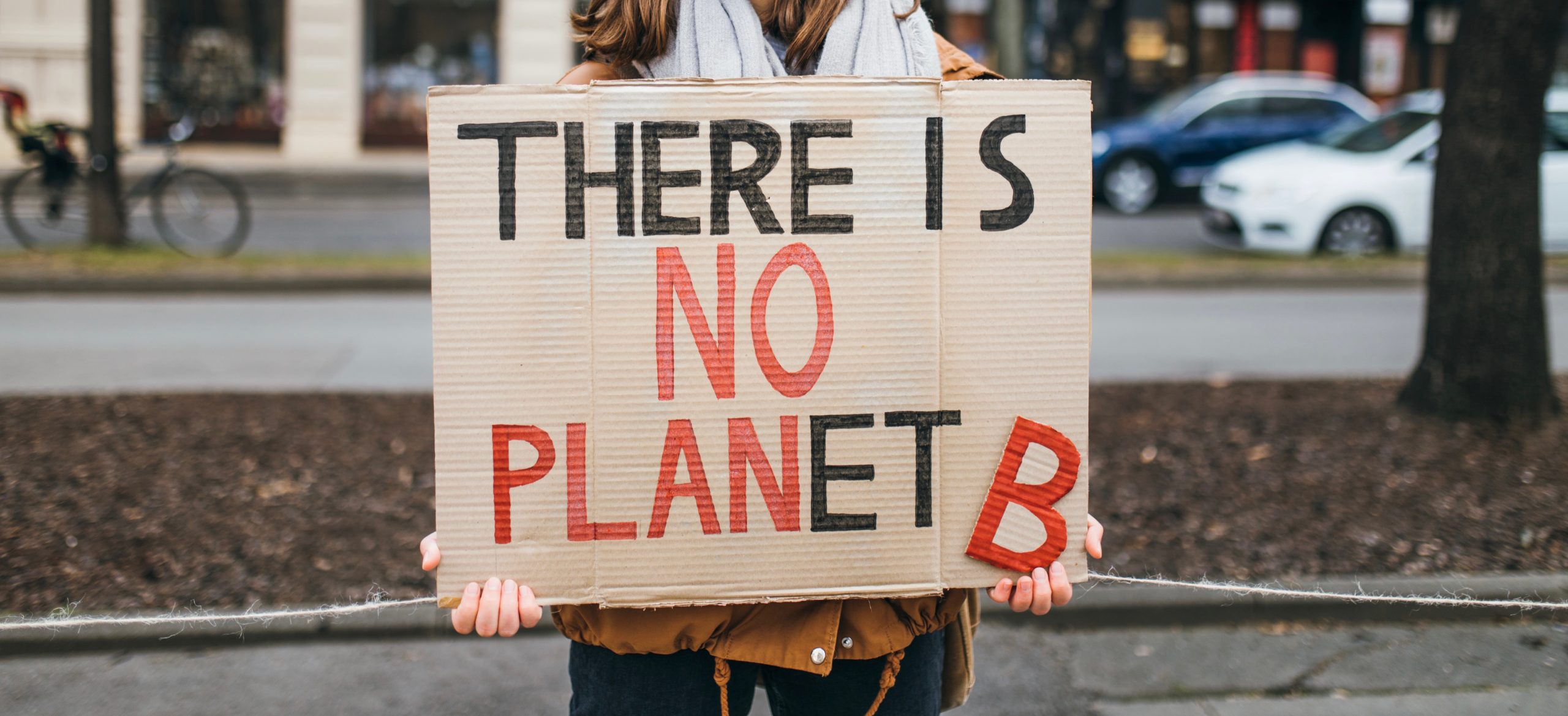 A Tale of Rights, Remedies, and Duties: The Climate Change Litigation Dilemma