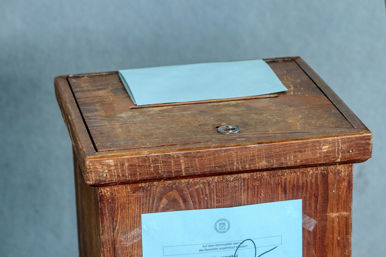 Disenfranchisement as punishment: Ghana weighs democratic order against an inalienable vote