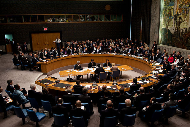 UNSC adopts resolution for protection of humanitarian volunteers