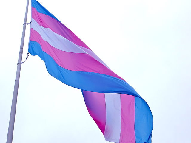 UN rights expert condemns violence against transgender individuals