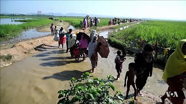 Rights group calls for tribunal to address crimes against Rohingya