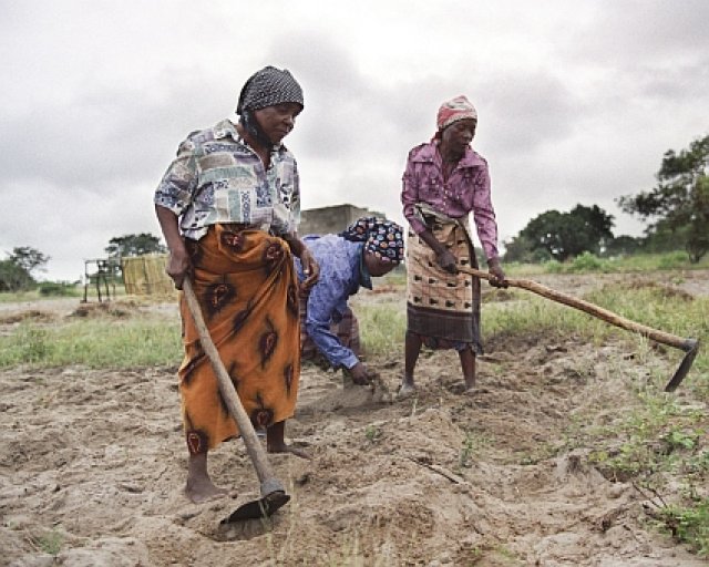 Amnesty calls on Mozambique to act swiftly against village slayings