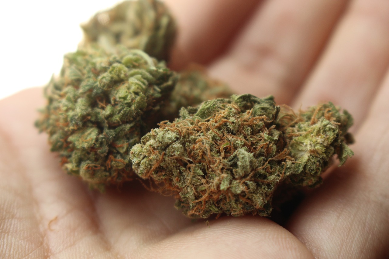 New Mexico governor signs marijuana decriminalization bill