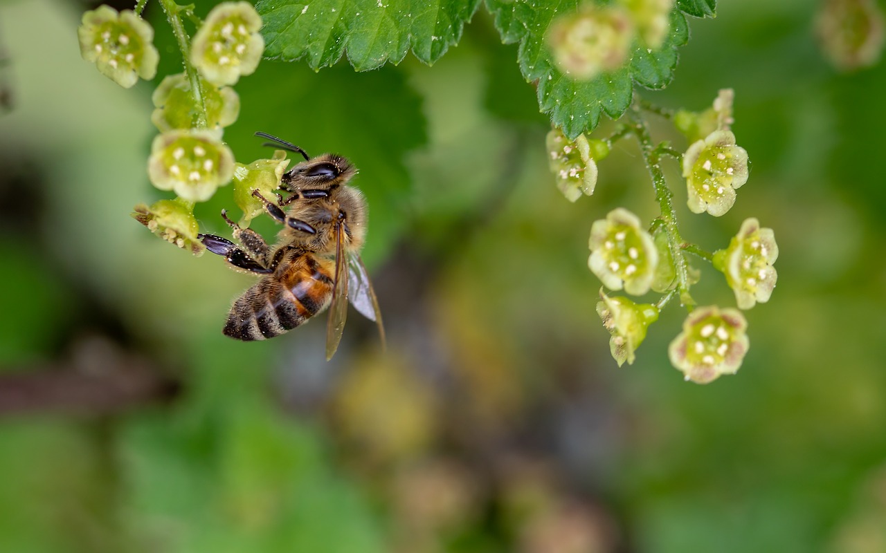 UN report says nature in more trouble than ever