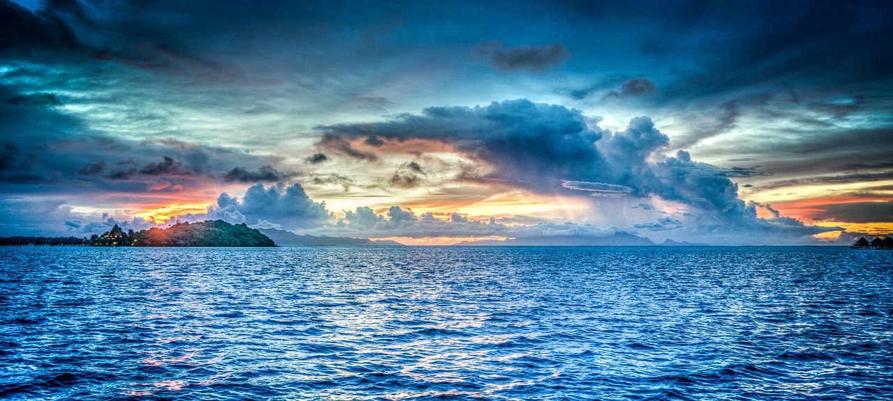 UN high seas treaty agreed to by member states to protect vast swathes of planet&#8217;s oceans
