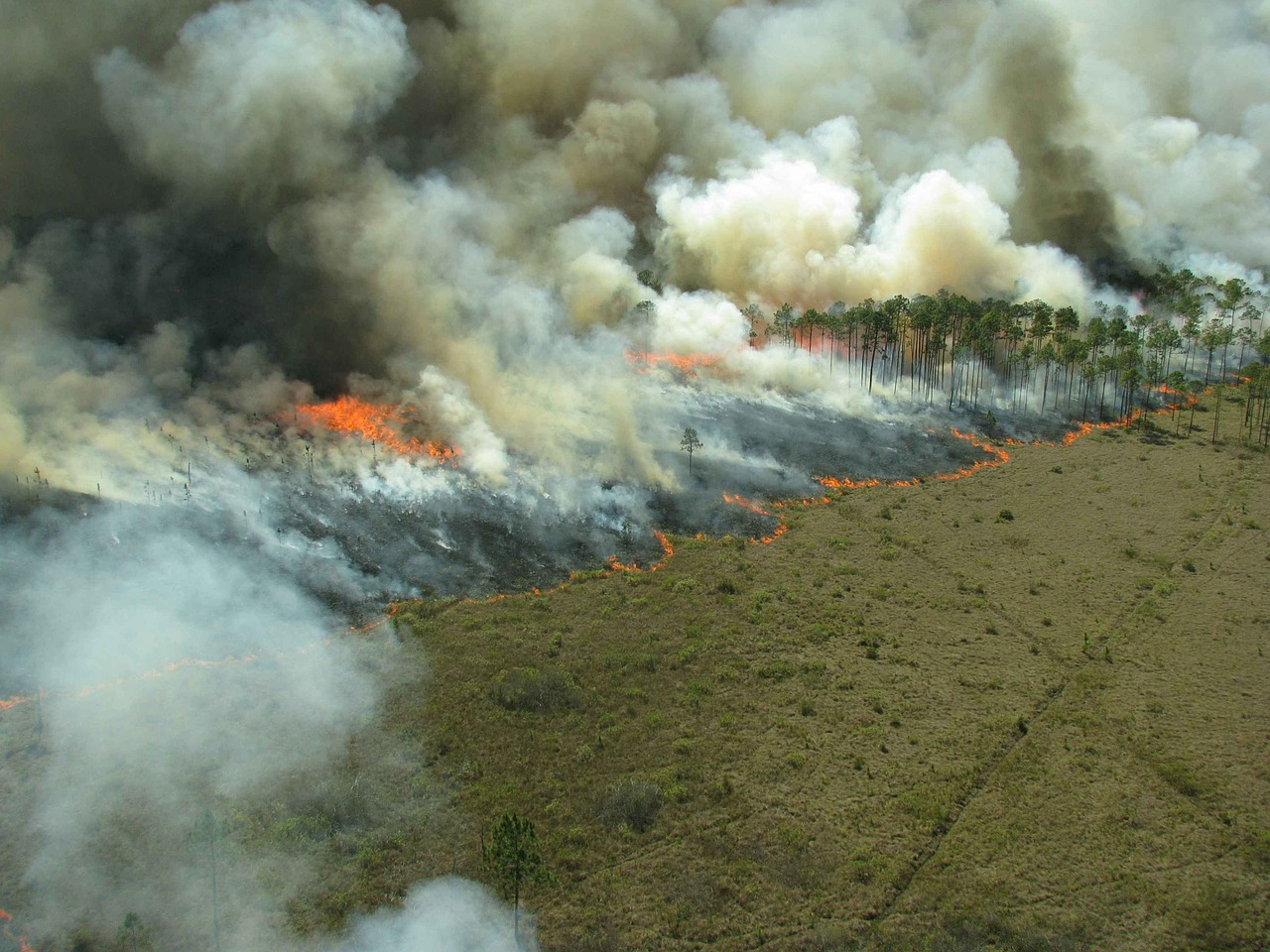 Bankruptcy judge rules investors may not bring single claim against PG&#038;E