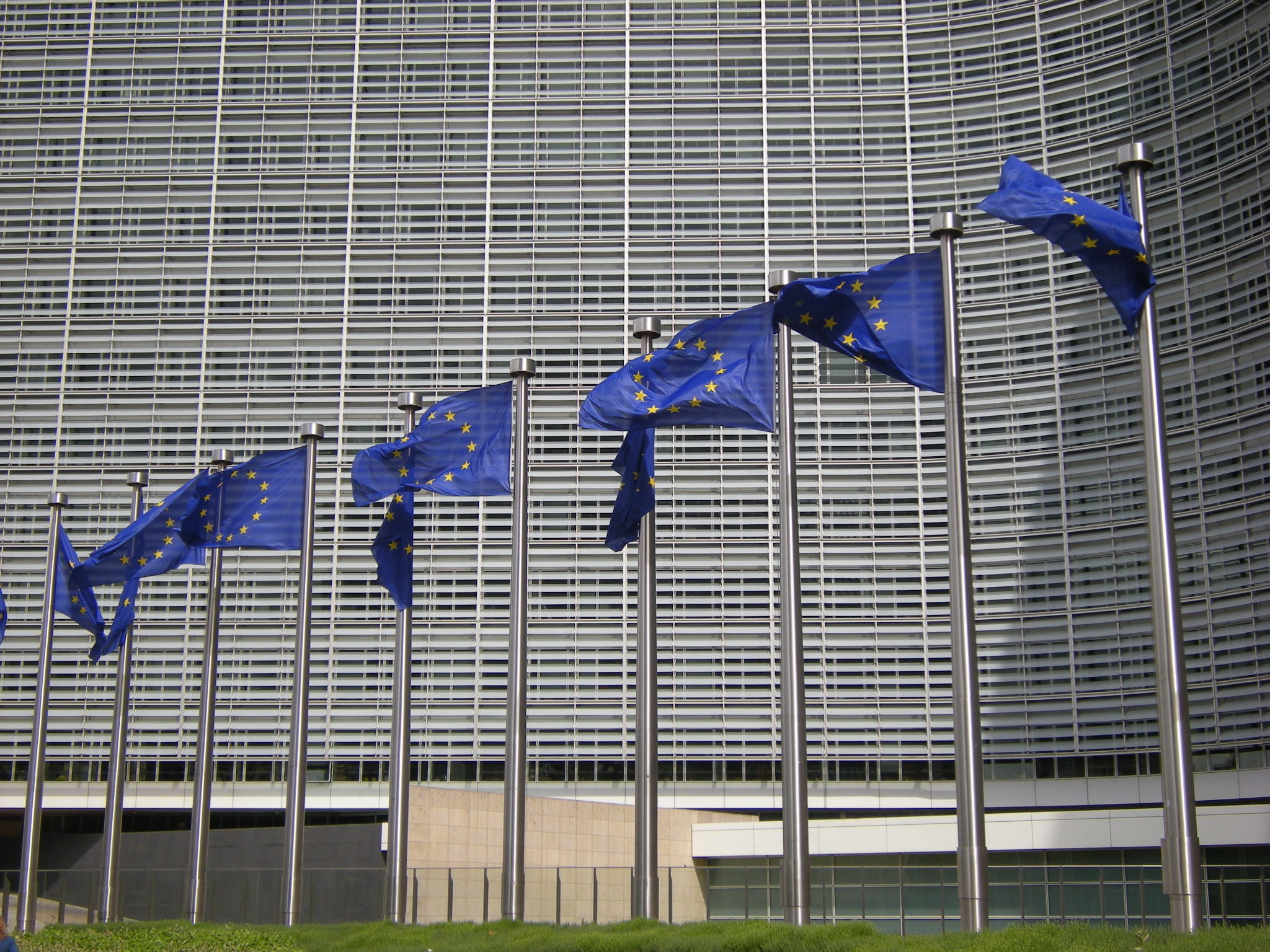 Civil rights groups call EU online terrorist law a risk to fundamental rights