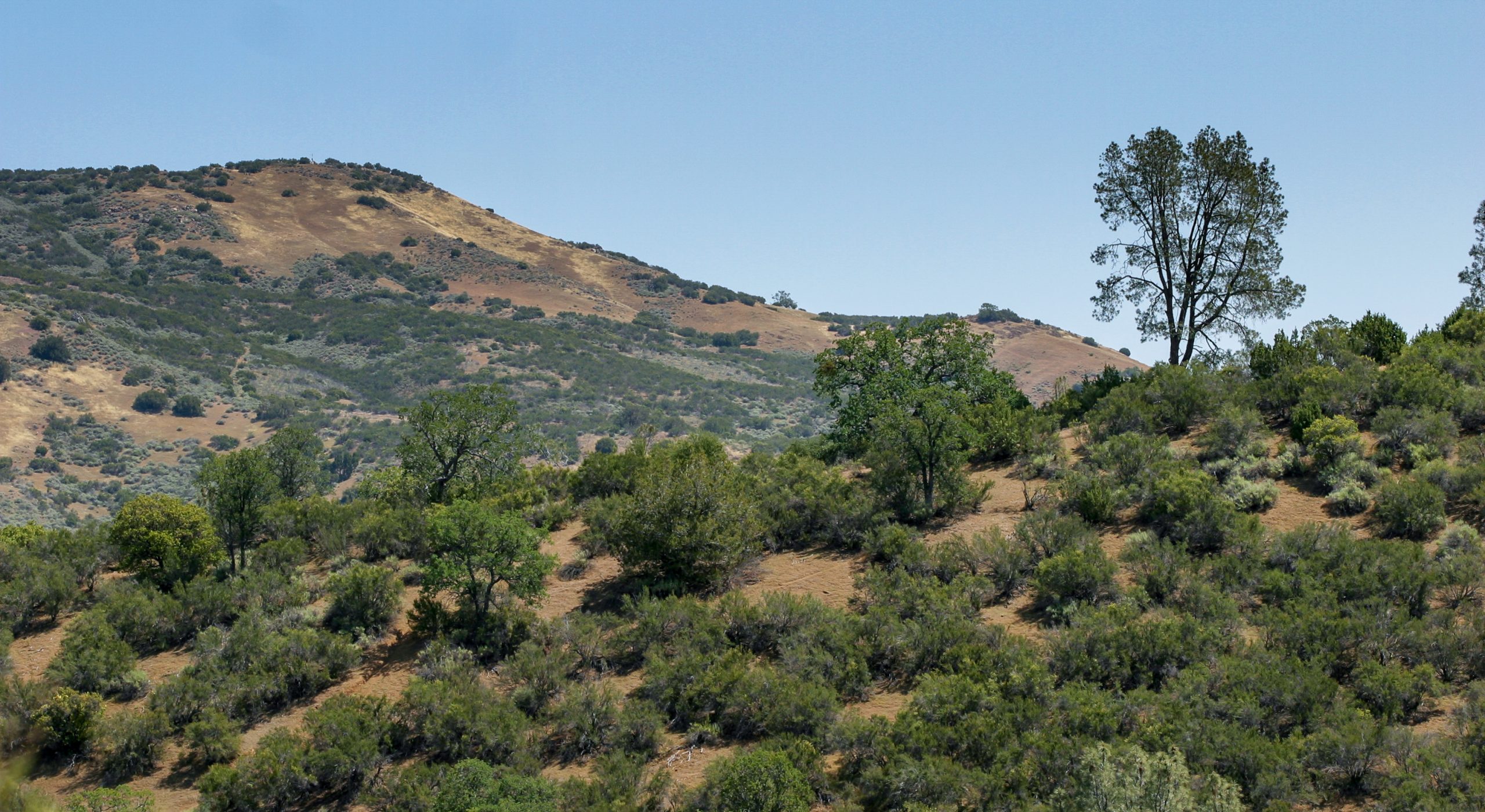 Environmental groups sue to block new California dam project