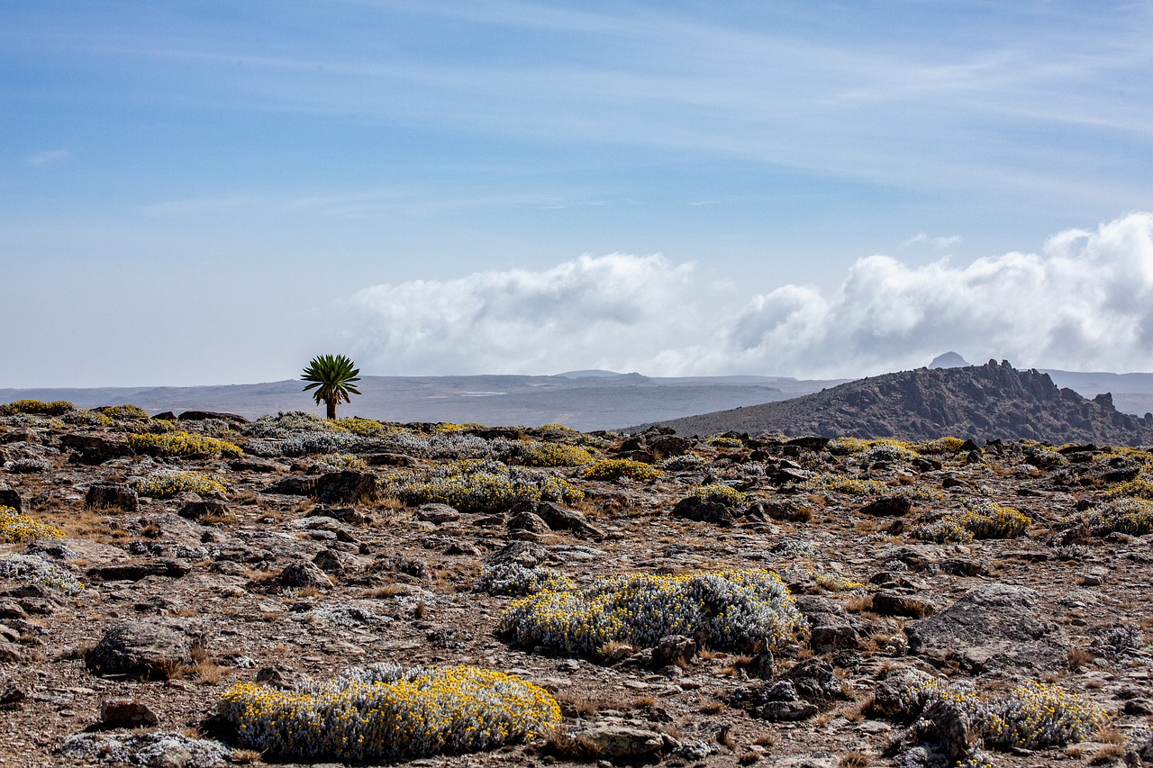 UN rights chief stresses need for independent assessment in Tigray, Ethiopia