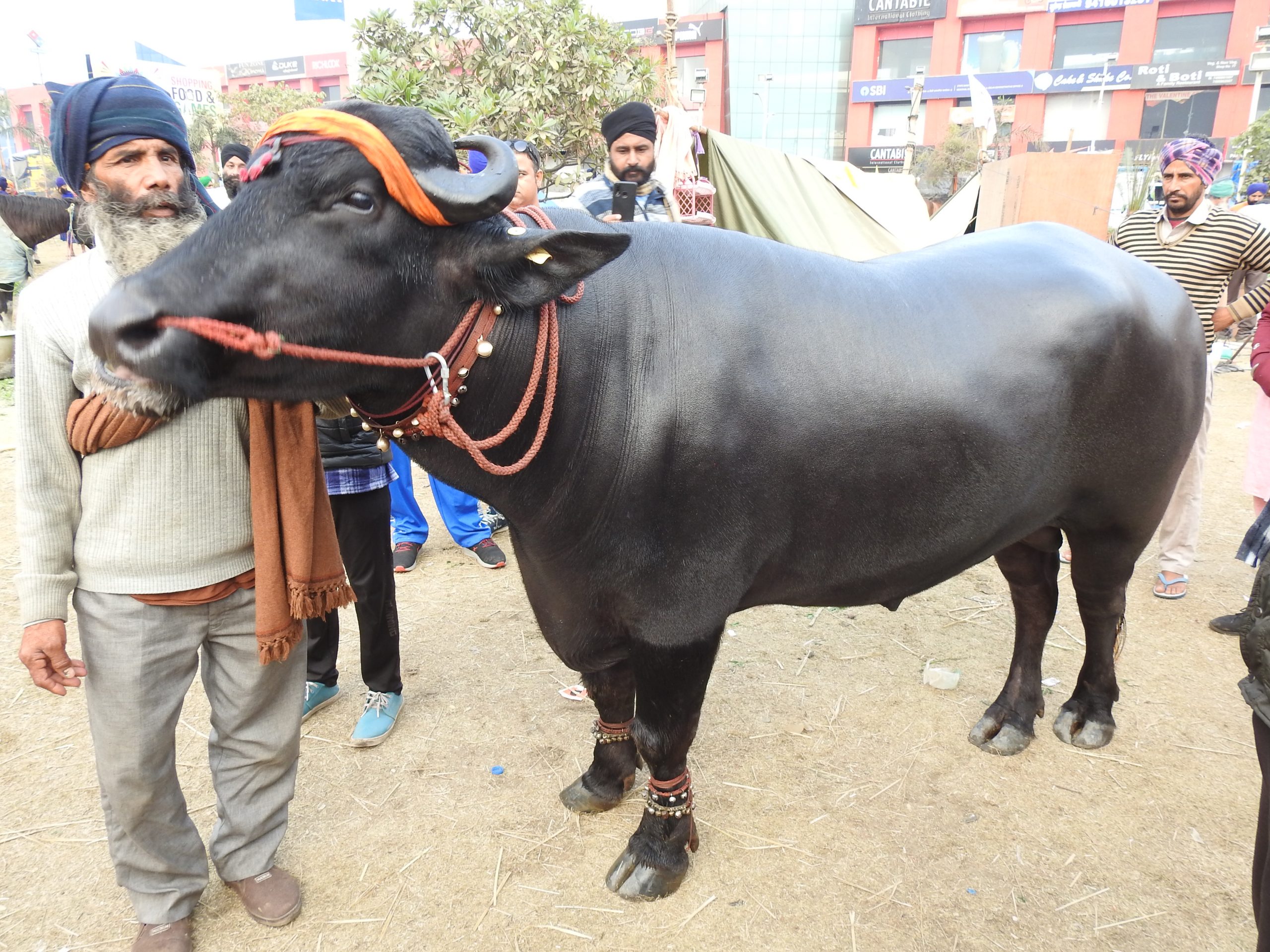 UN rights office calls for ‘equitable solutions’ amid farmer protests in India