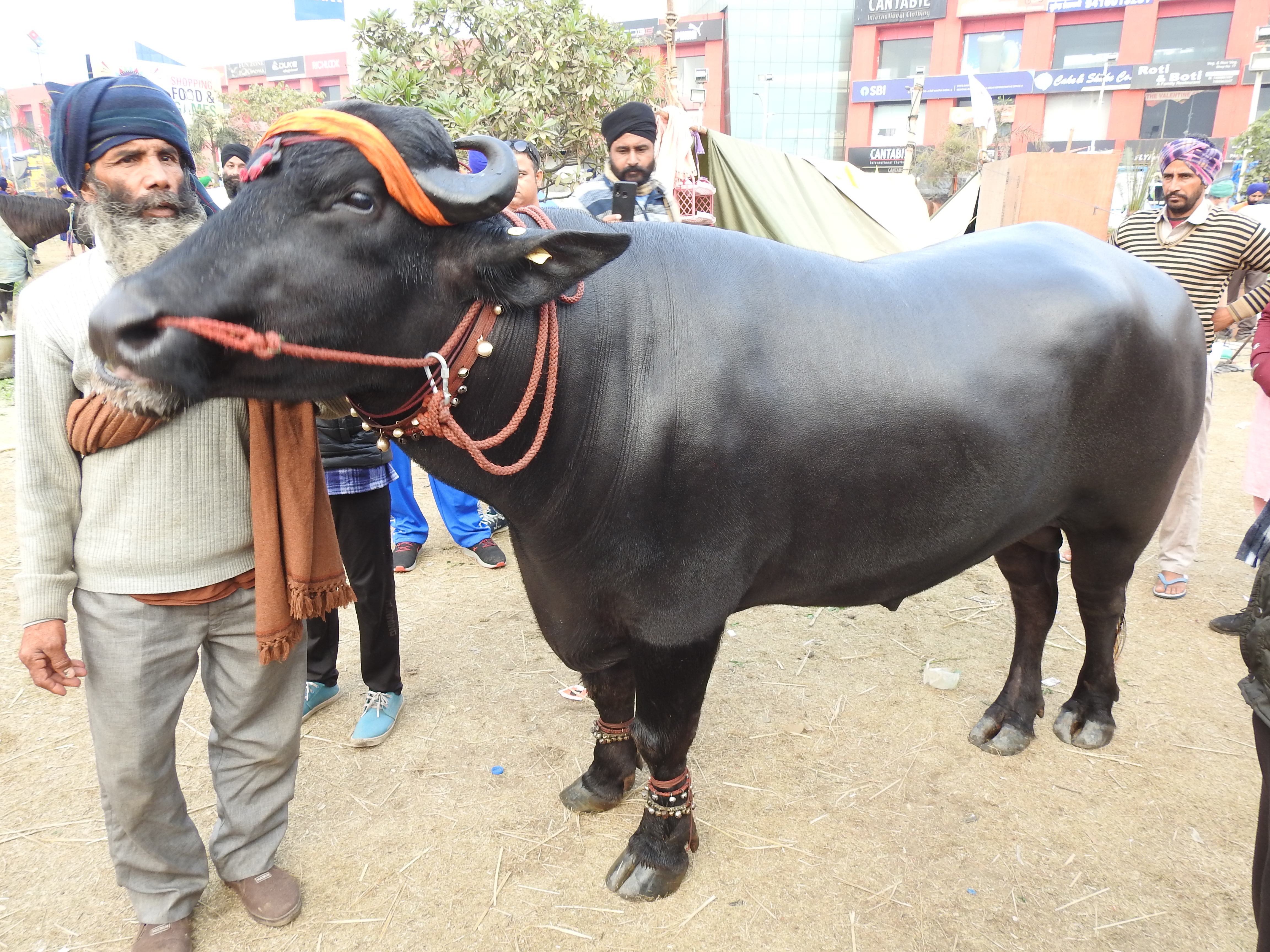 UN rights office calls for &#8216;equitable solutions&#8217; amid farmer protests in India