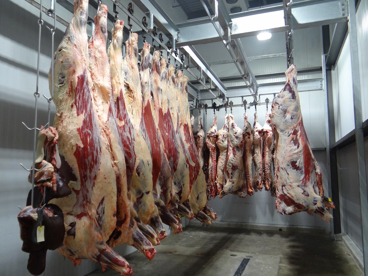 House COVID subcommittee will investigate OSHA, US meatpackers