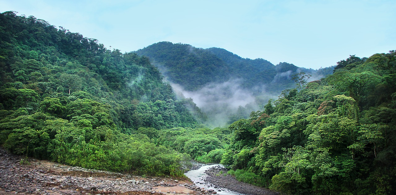 Indigenous Amazonians sue France supermarket chain over deforestation claims