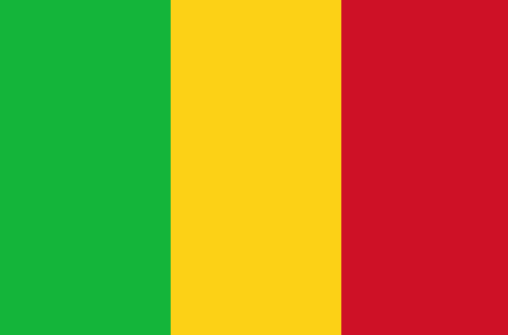 Rights group condemns former Mali PM conviction and calls for his release