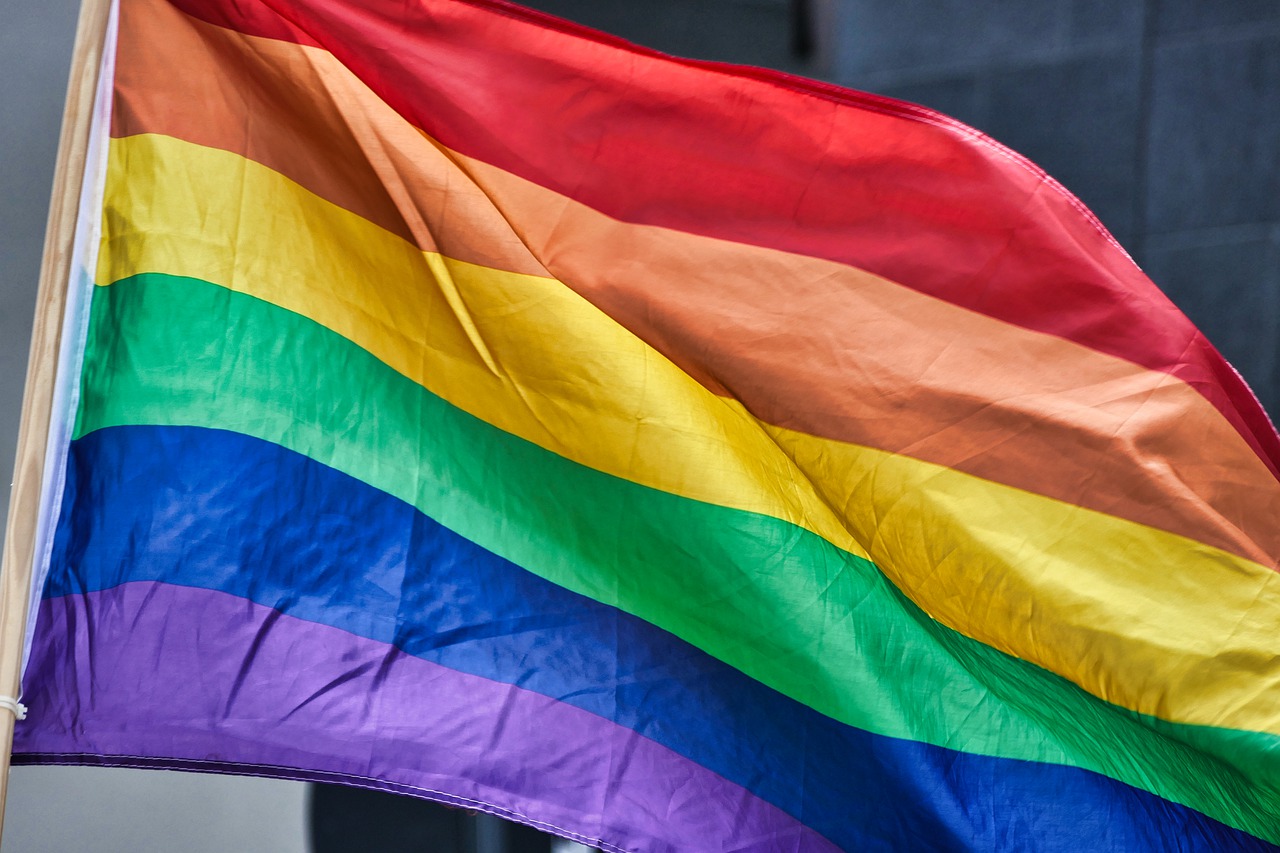 Romania rights groups urge MPs to reject LGBT &#8216;propaganda&#8217; legislation