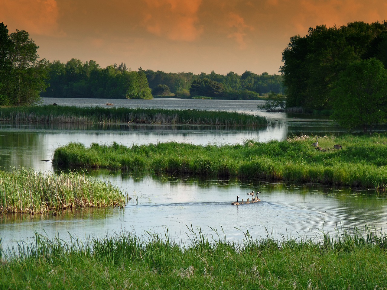 US Supreme Court hears Clean Water Act case over wetlands