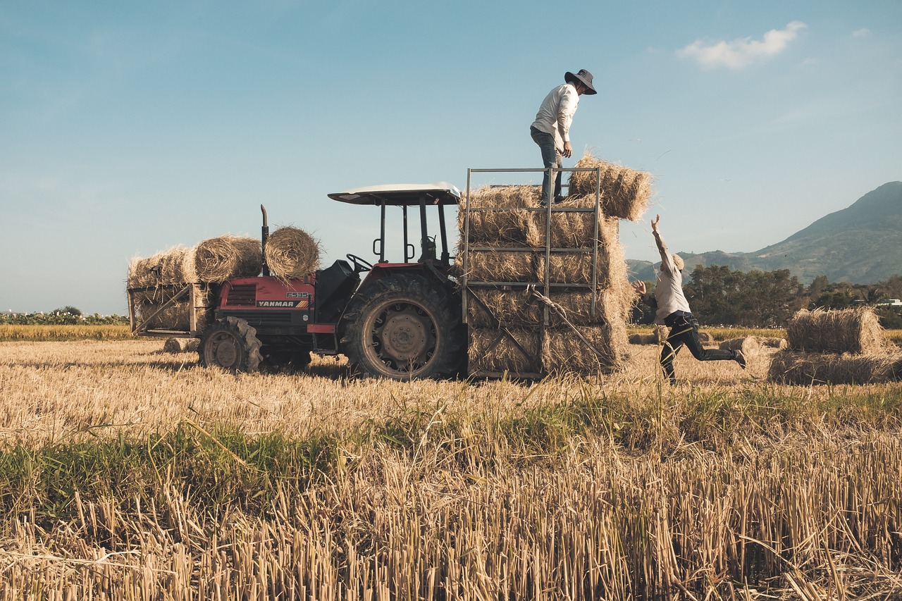 UN expert warns UK government about forced labor under seasonal worker scheme: Bureau of Investigative Journalism