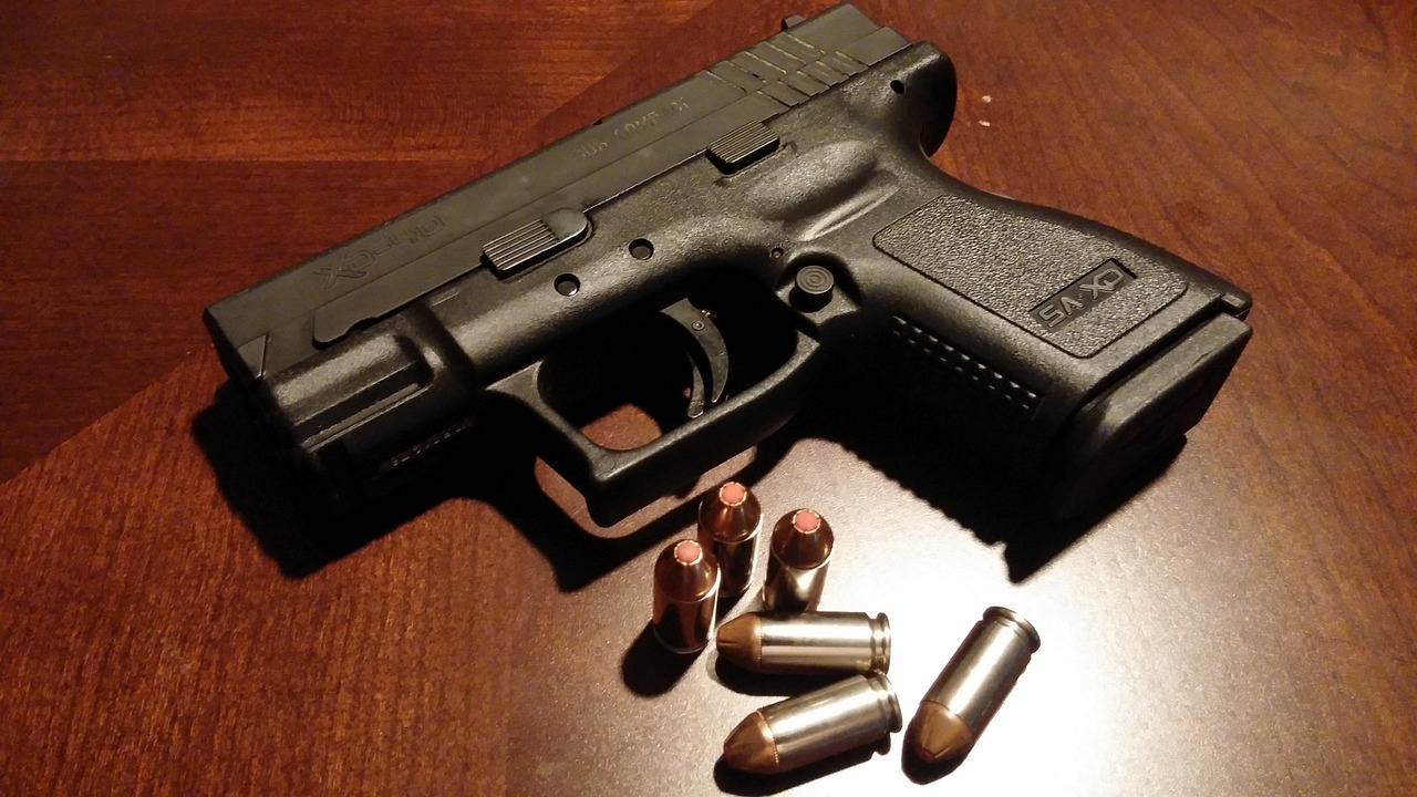 Czechia senate approves new gun control law following mass shooting