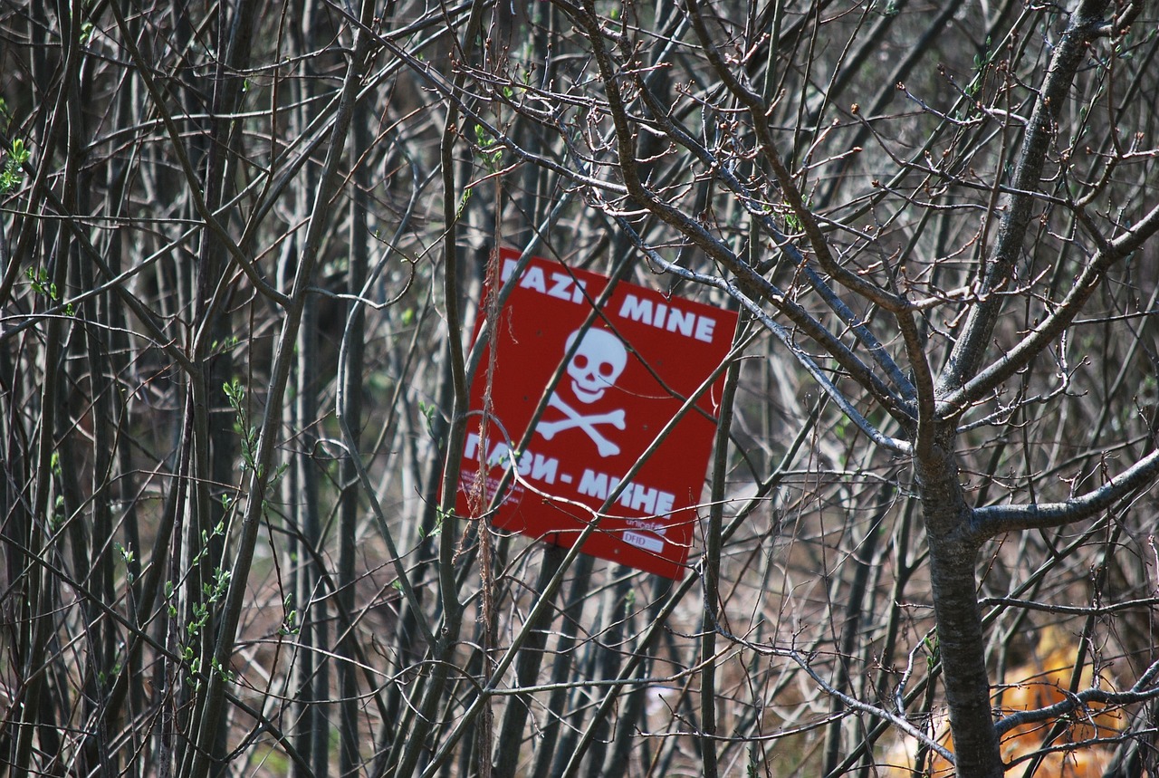 HRW: new evidence reveals Ukraine used banned landmines in Russia conflict