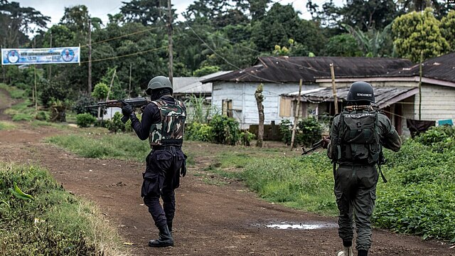 Cameroon must end violence and human rights violations in Anglophone areas: Amnesty International