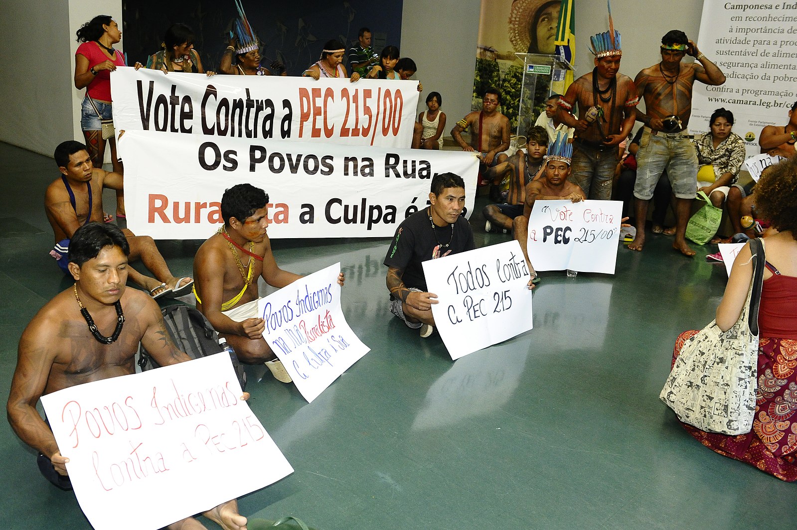 Brazil Senate committee advances legislation on indigenous land demarcation