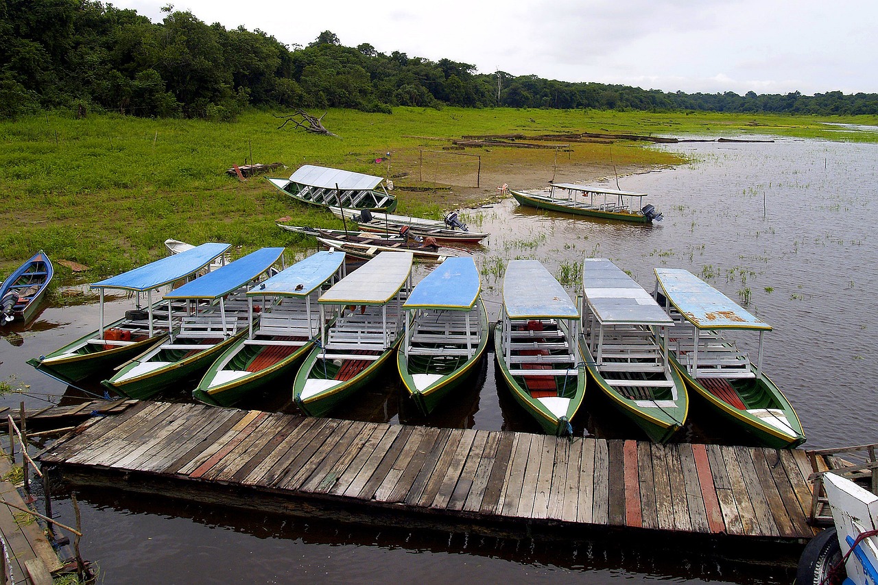 Brazil protesters demonstrate against Amazon River oil drilling during environmental summit