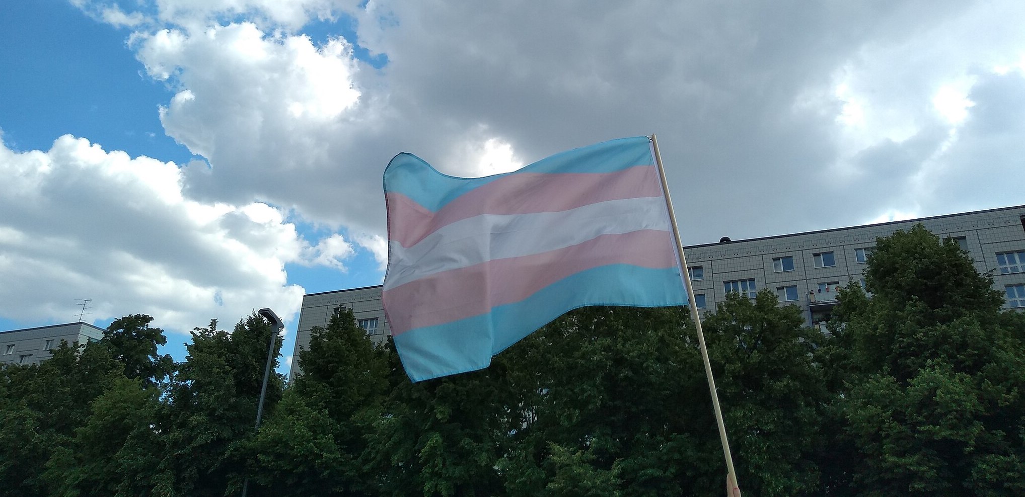 West Virginia legislator introduces bills classifying transgender people as &#8216;obscene matter&#8217; and banning gender-affirming care for people under 21