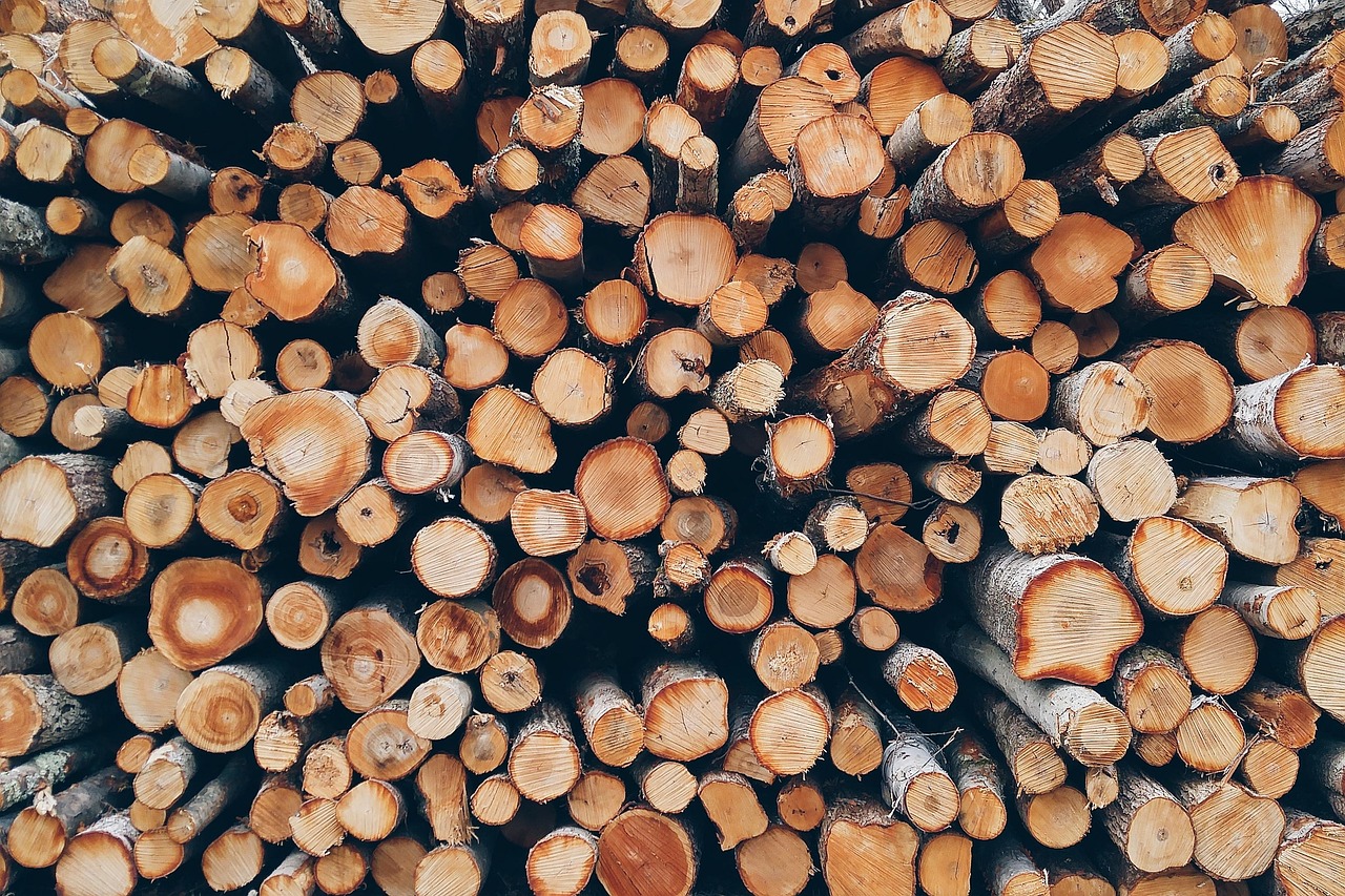 Australia court dismisses environmentalist challenge to native logging operations