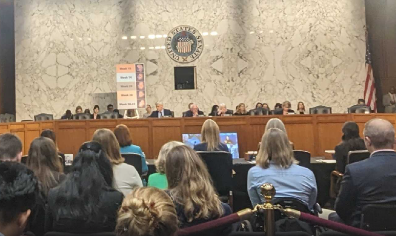 DC dispatch: at Senate hearing, witnesses and senators spar over post-Dobbs state abortion bans
