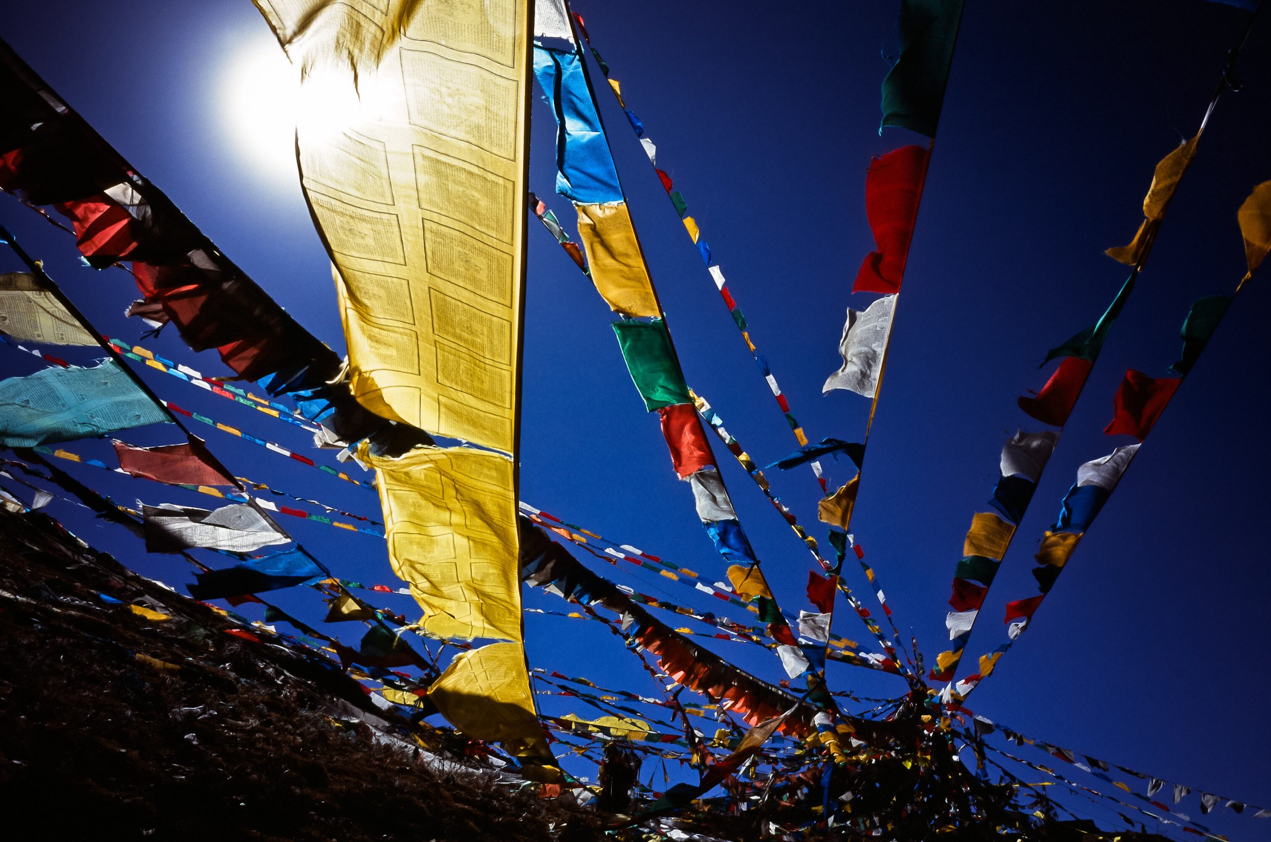 Rights group urges China to release Tibet activist