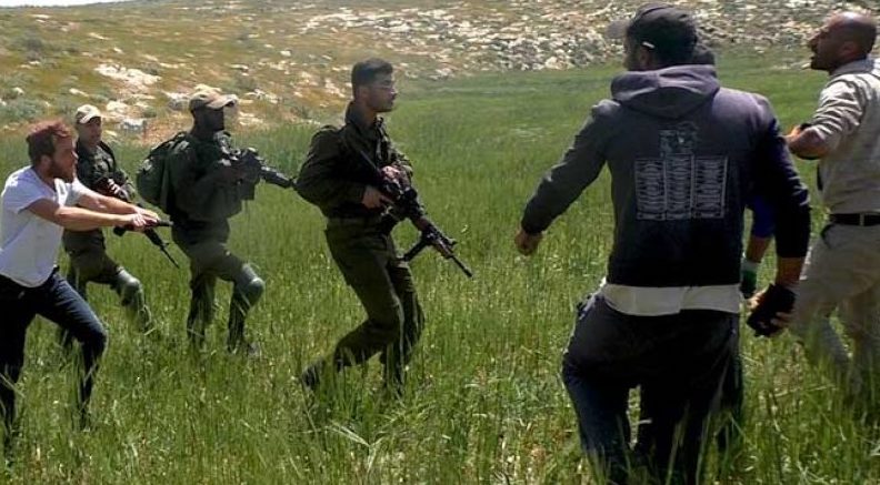 Increasing Israel settler violence against Palestine farmers raises human rights concern