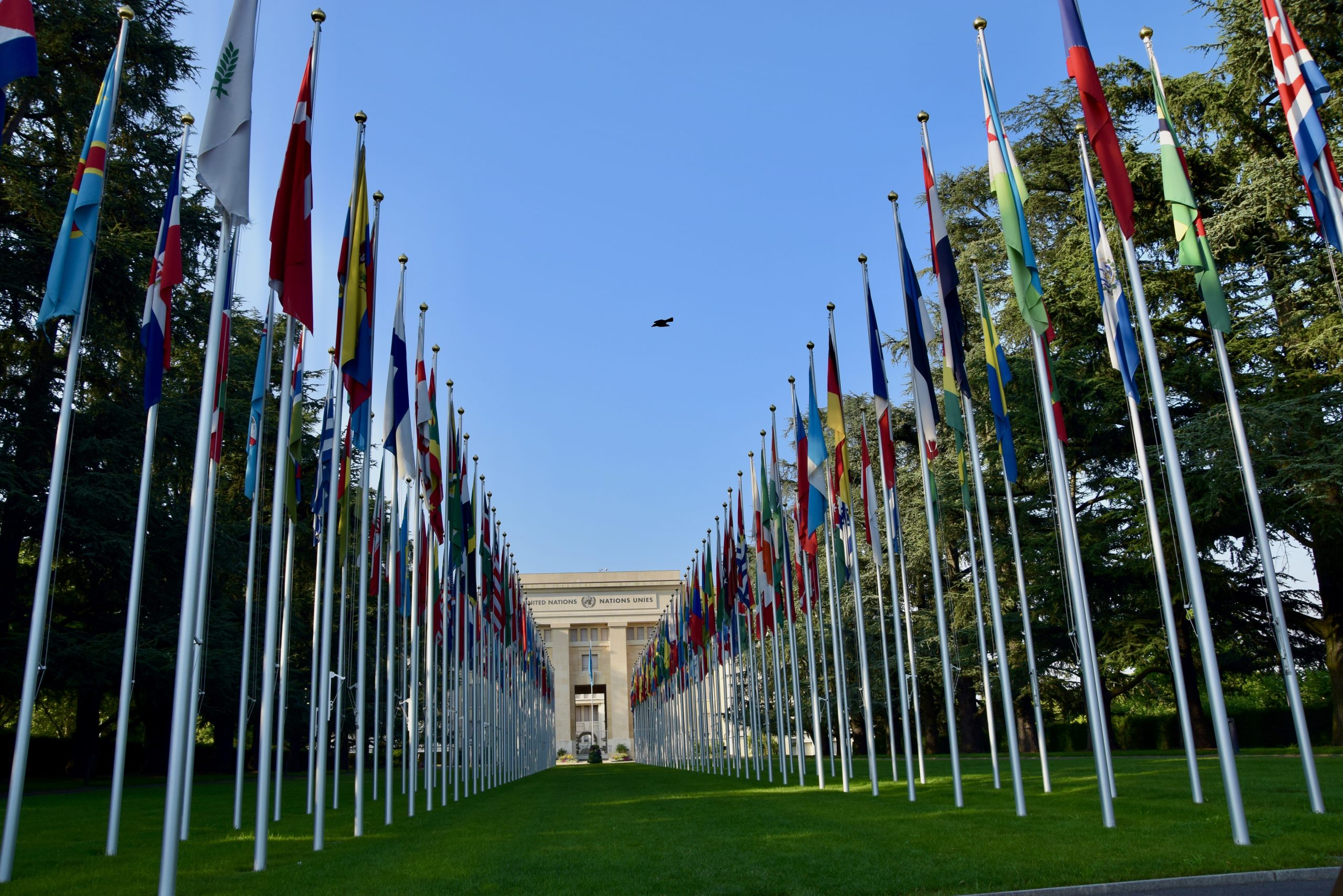 Human Rights Watch report advocates for treaty on crimes against humanity