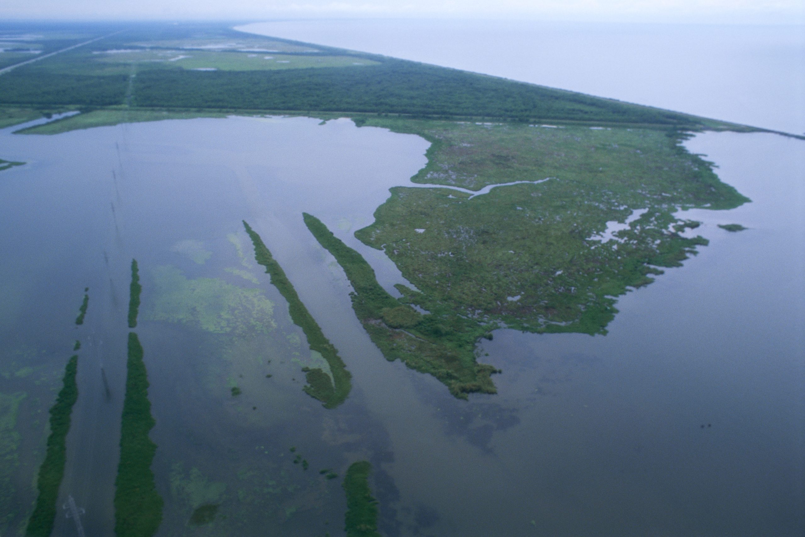 US Supreme Court unanimously rules for oil and gas companies in Louisiana environmental suit