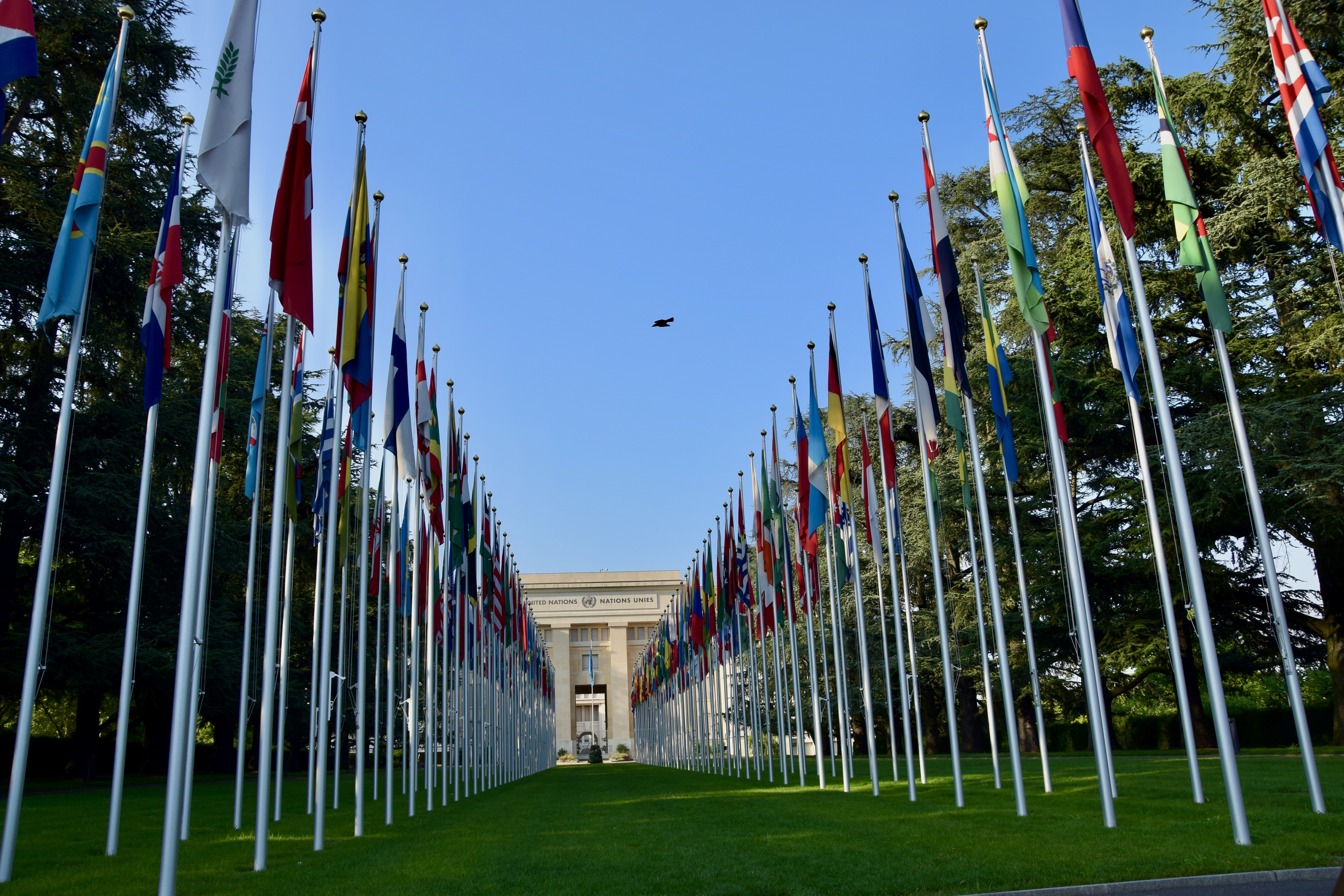 UN finds refugee numbers have dropped but millions remain trapped