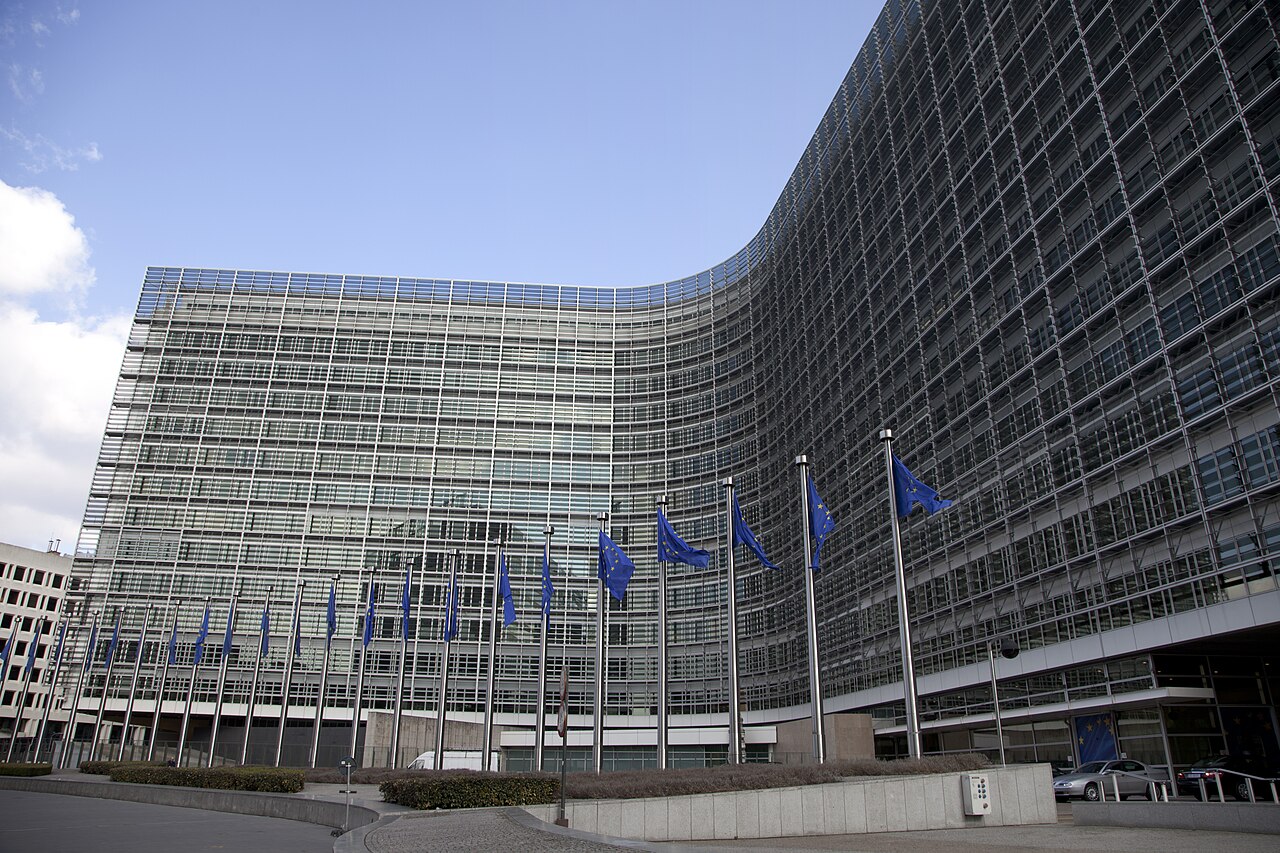 Rights group calls on European Commission to revise anti-deforestation regulation following critical omission