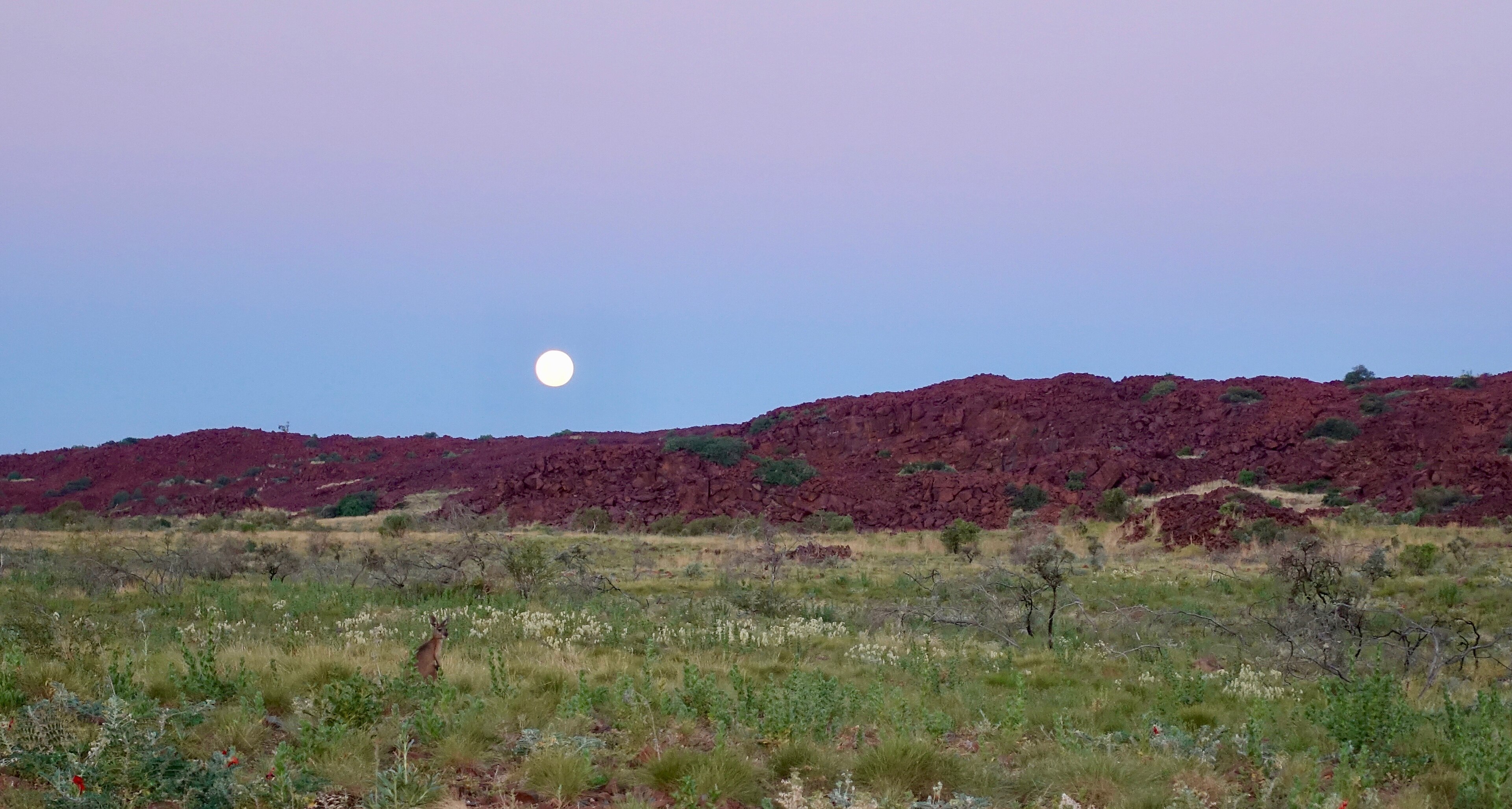 Australia court admits first-ever UN environmental expert in natural gas site extension challenge