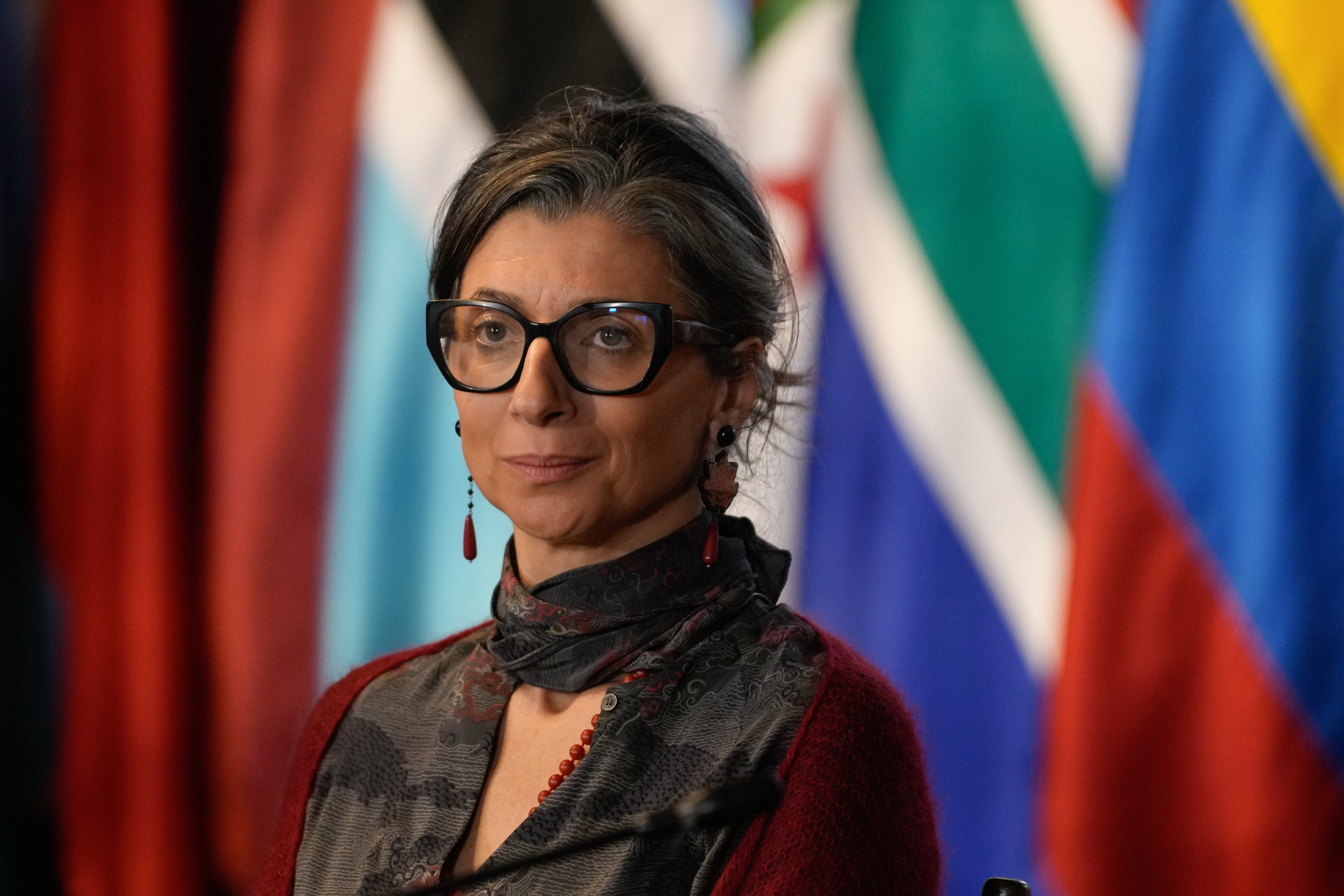 US appeals court maintains sanctions on UN Palestine rights expert