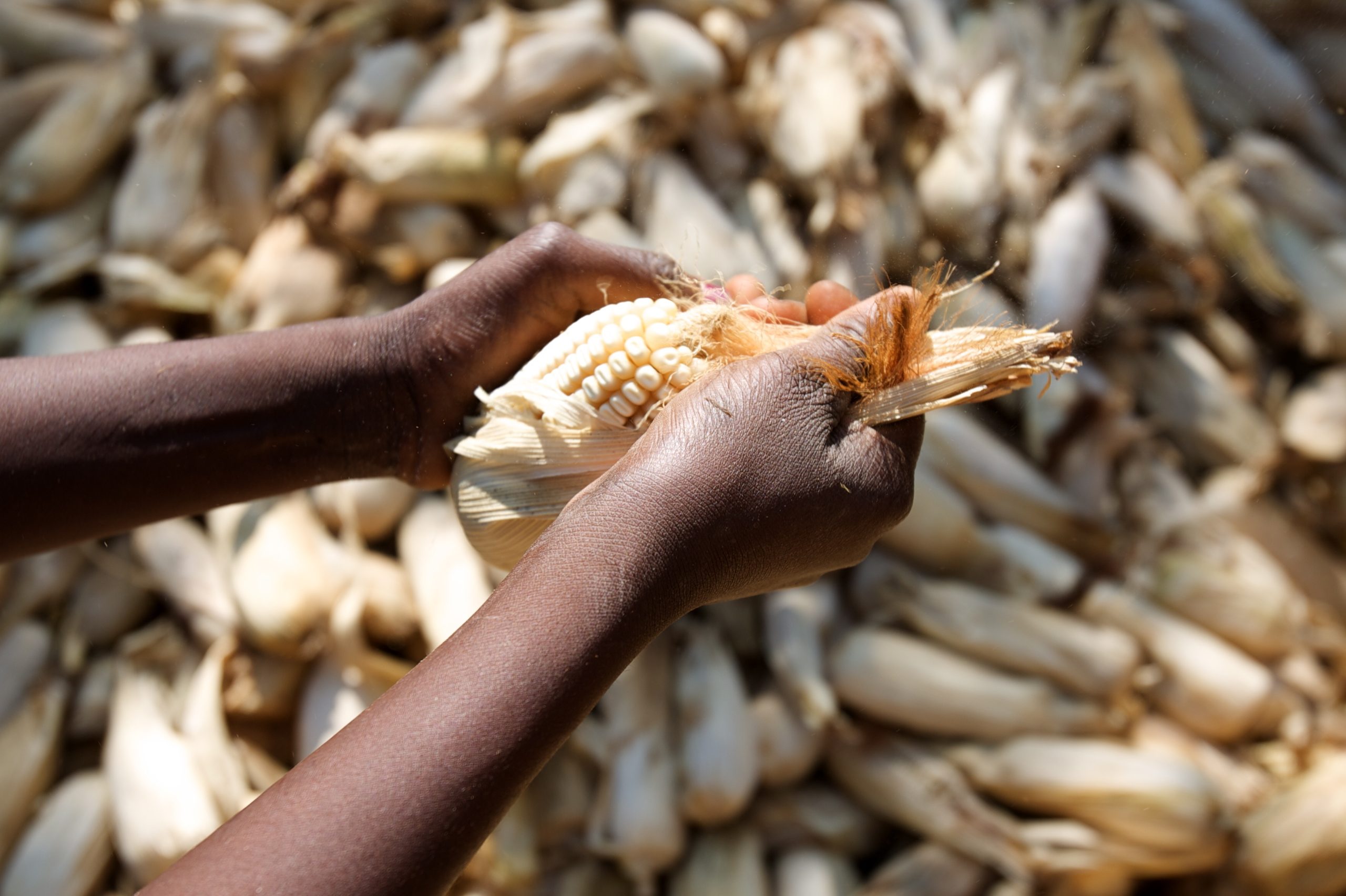 Injustice and denial of human rights are causing mass global food insecurity, UN rights chief says