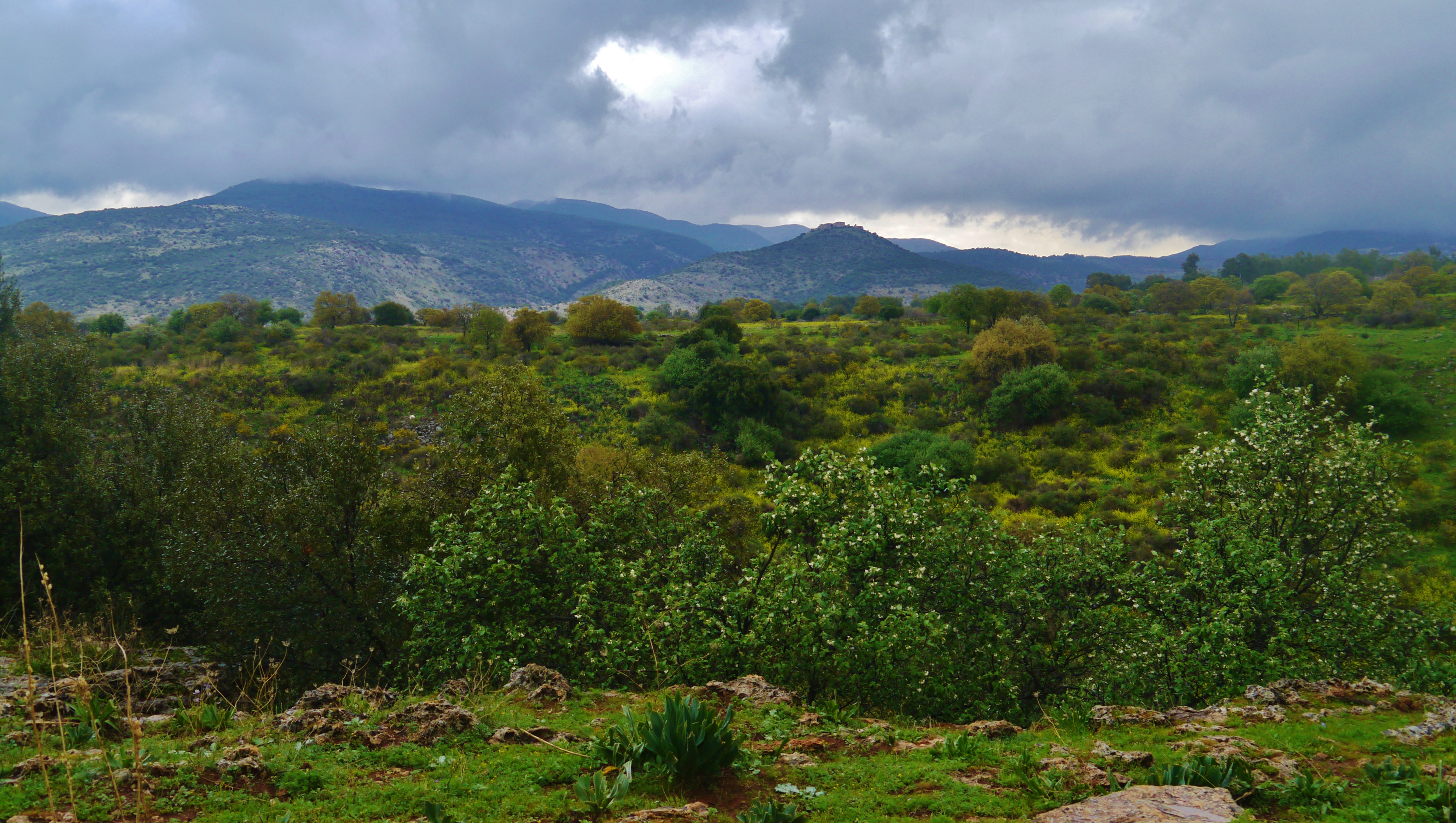 EU declares no recognition of Israel sovereignty over Golan Heights