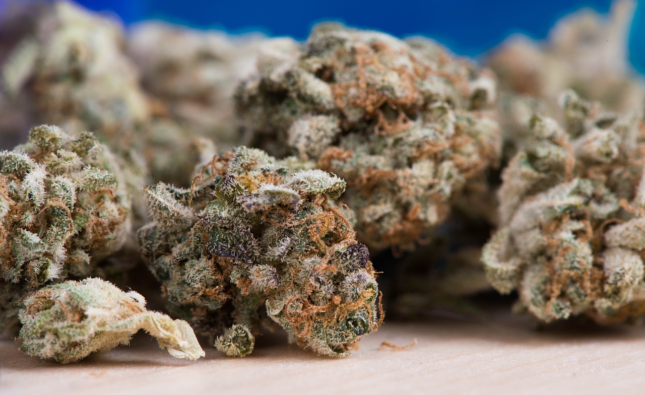 Hundreds seek court dismissal of New Zealand cannabis referendum results