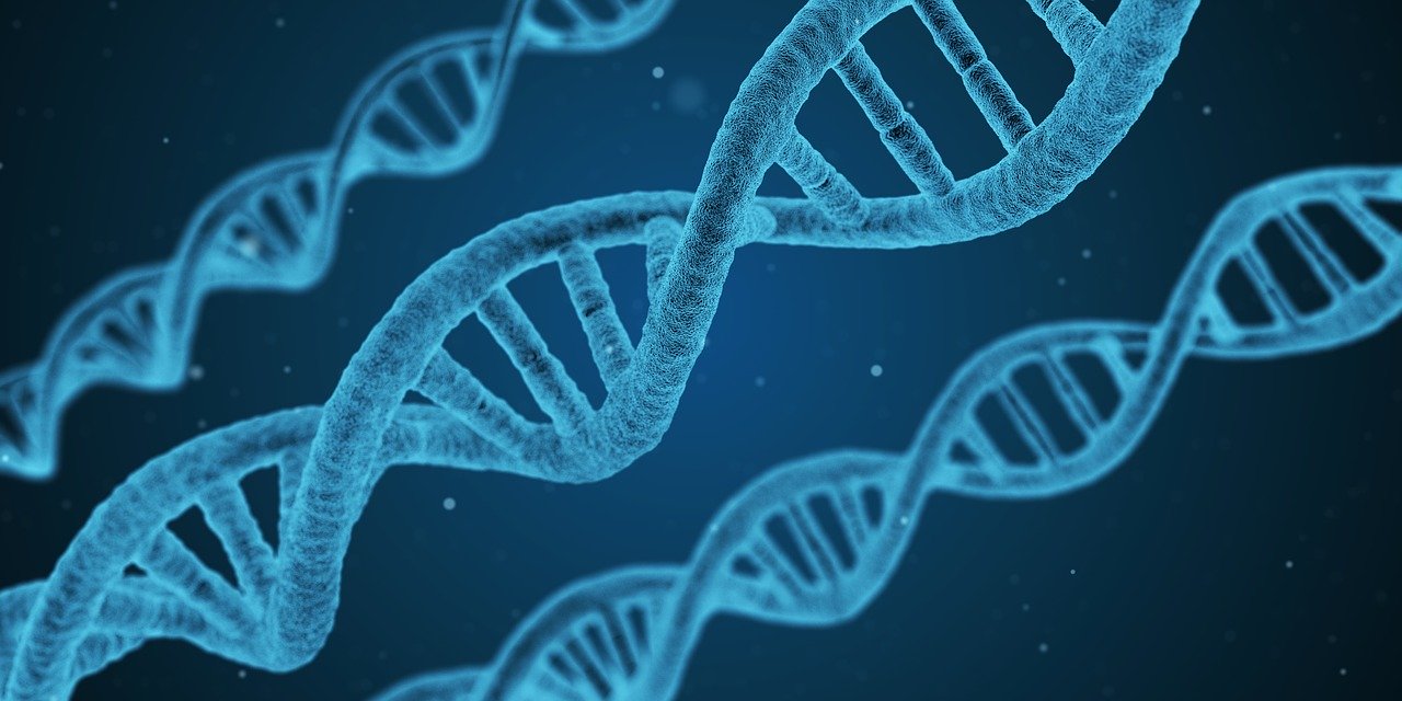 New Zealand Law Commission recommends new legal framework for police use of DNA