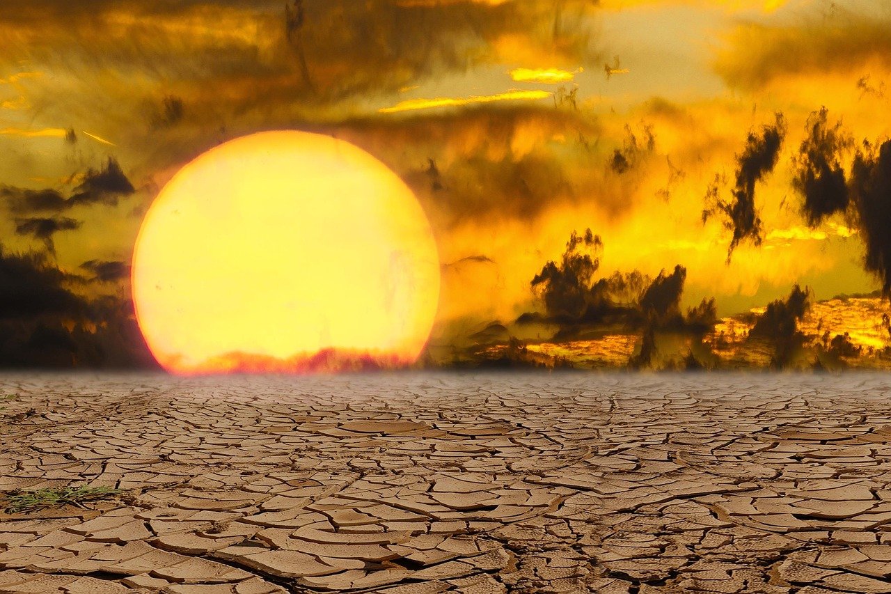 New Zealand parliament passes motion declaring climate emergency