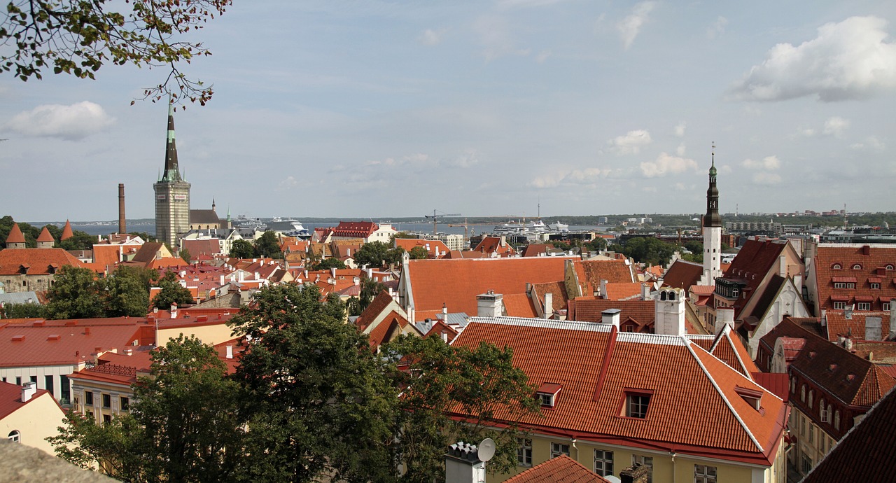 Estonia parliament condemns Georgia foreign agent law, vows to block country's EU accession