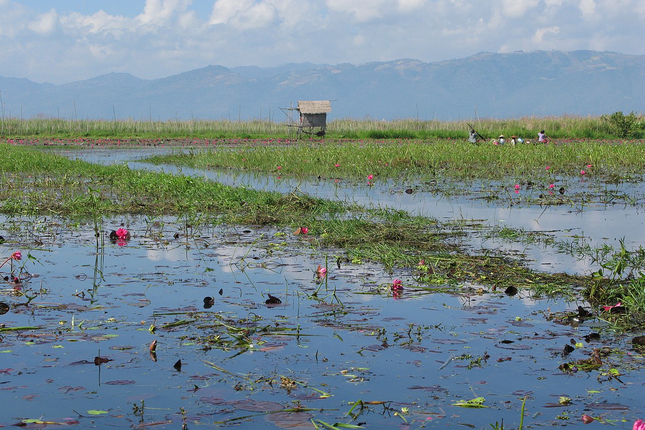Flooding and war create dire human rights situation in Myanmar