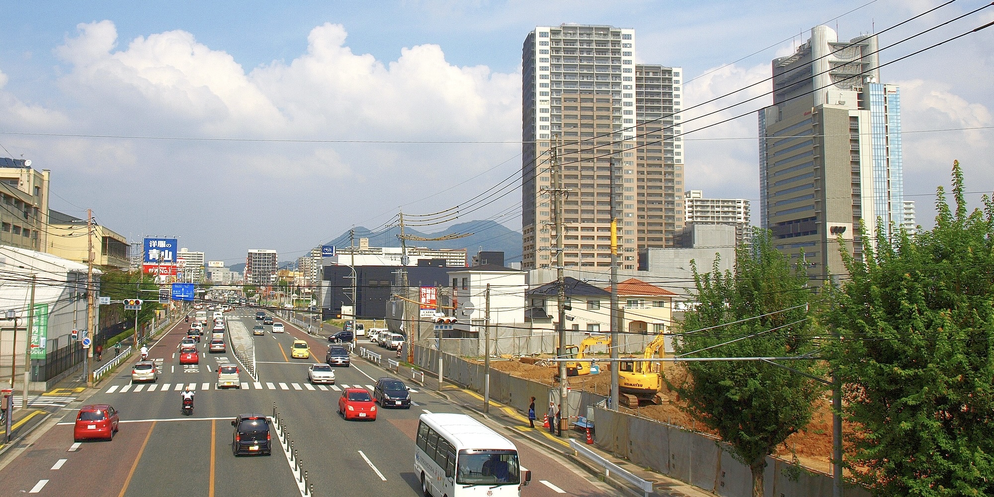 Japan court rules ban on dual citizenship constitutional