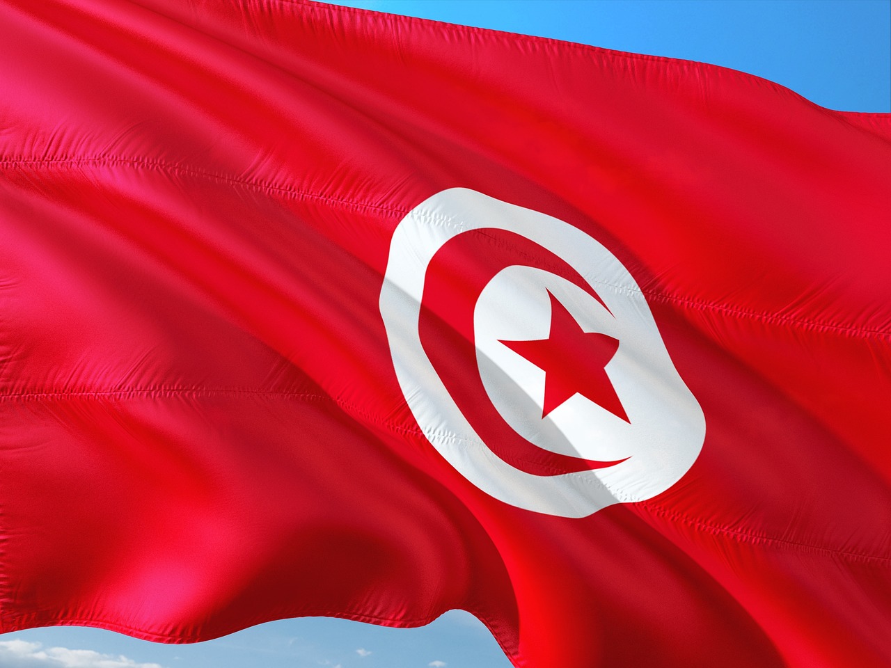 HRW denounces detention of human rights activist ahead of Tunisia election